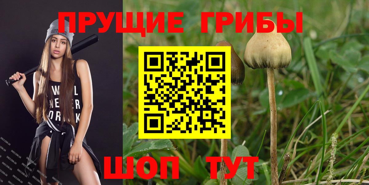 Галлюциногенные грибы GOLDEN TEACHER Усть-Илимск