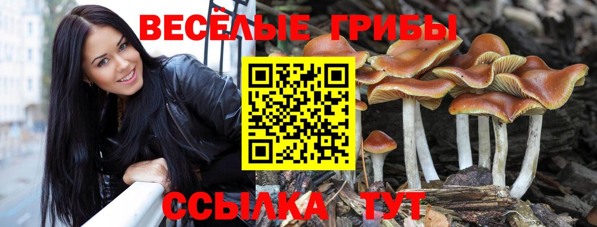 где найти наркотики  Вход с VPN  Усть-Илимск  Псилоцибиновые грибы Cubensis 